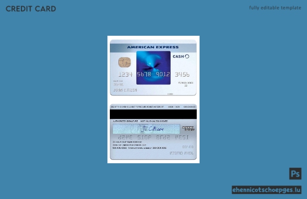 USA Truist Bank Blue Cash Everyday Card von Amex – Beispielvorschau